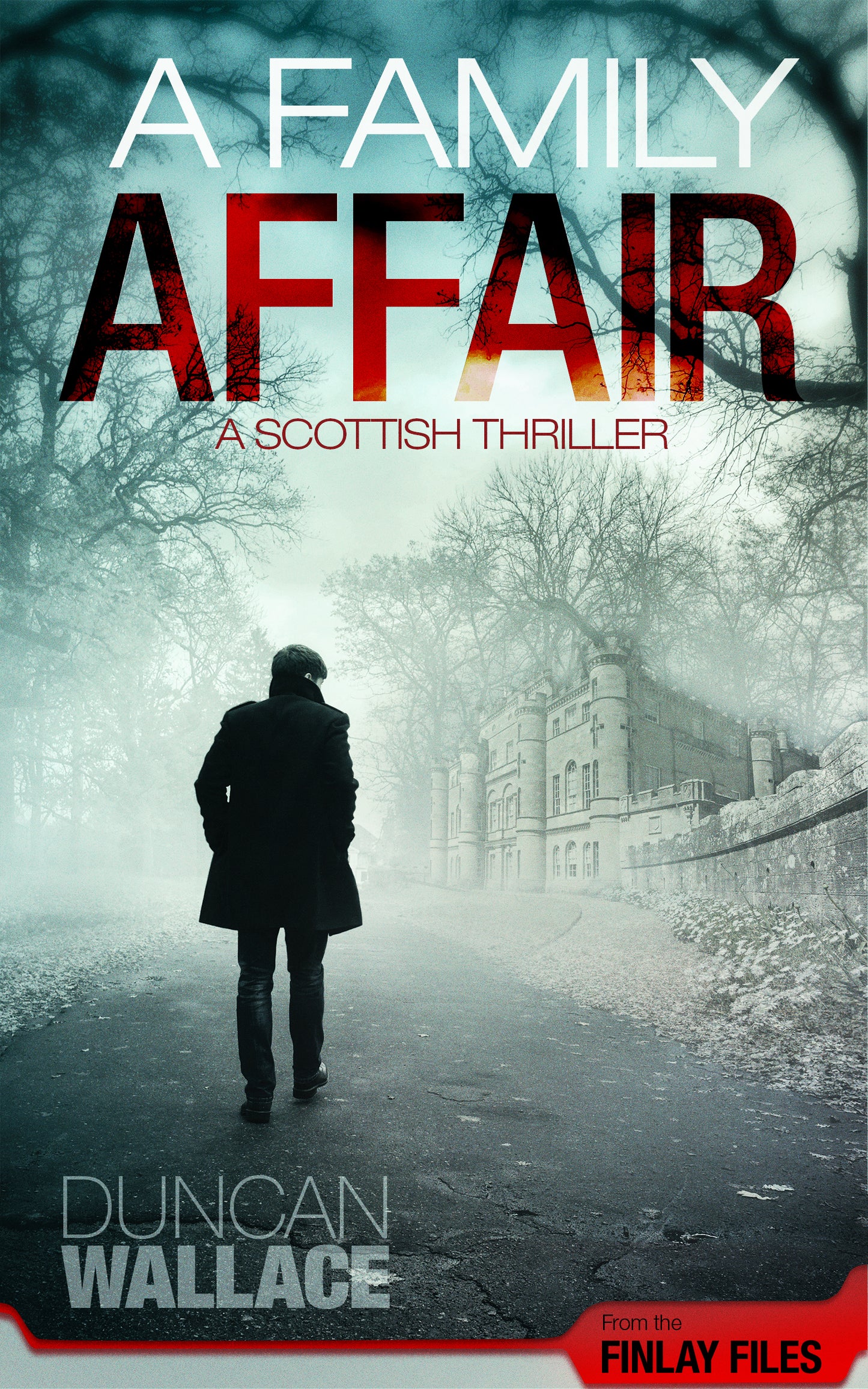 A Family Affair: Inspector Finlay Files Scottish Thriller